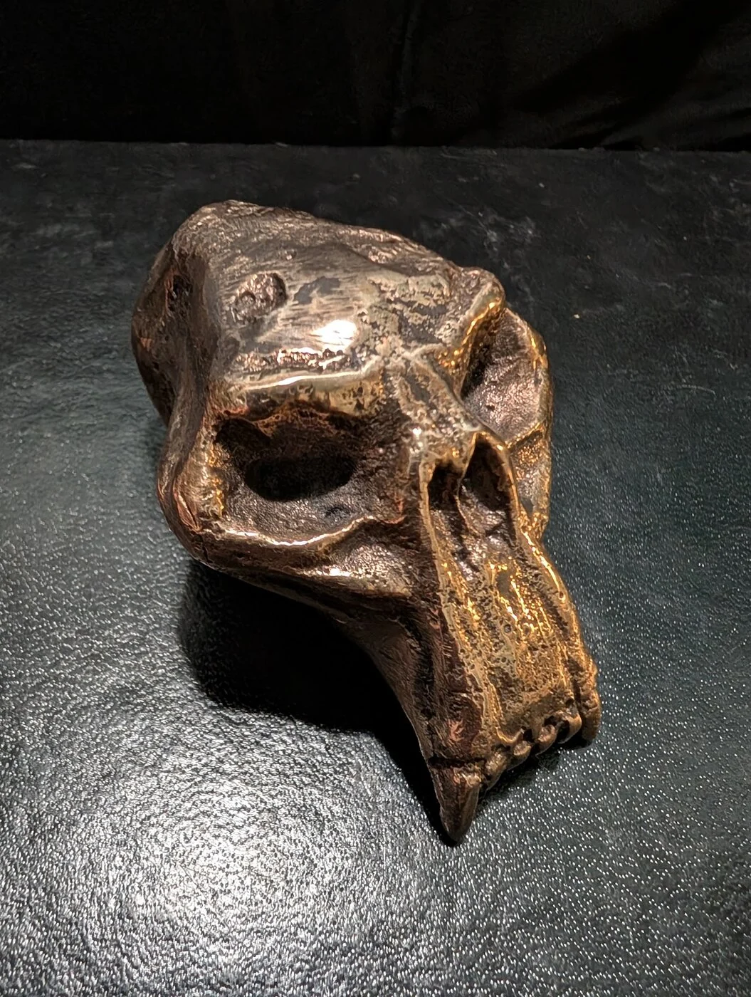 Cast bronze skull sculpture by BorboroForge